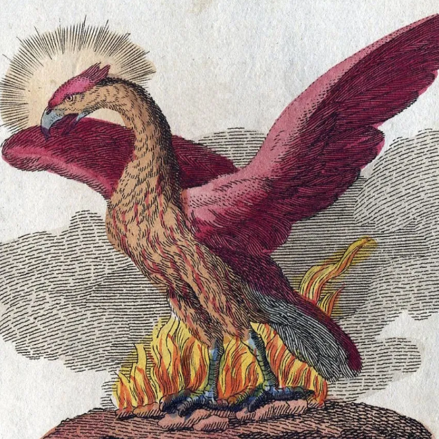 The-Phoenix